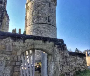 Aude Genevaise - SPL SVLT