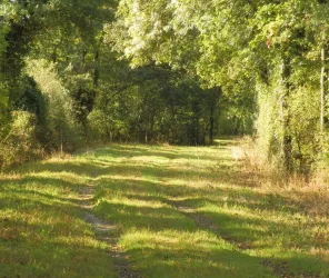 ©Mairie Les Touches