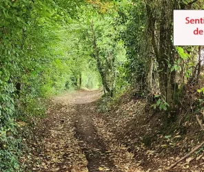 Communauté de Communes Châteaubriant-Derval