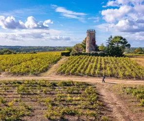 Solutions & Co - ©Clo&Clem