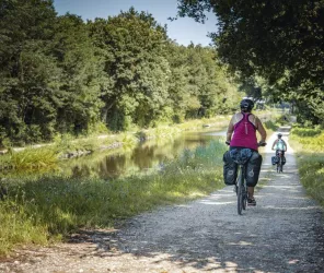 @ECF-AntoineViolleau