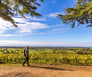 Solutions & Co - ©Clo&Clem