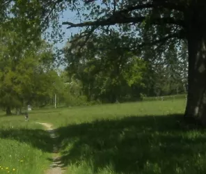 Anne Collet Bailleul