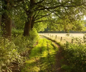 Communauté de Communes Châteaubriant-Derval