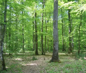 ©Office-de-Tourisme-du-Pays-de-Blain