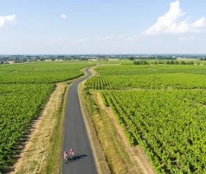 ©Valéry Joncheray photographe pour OTVN