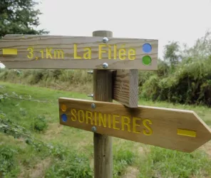 Patrick Garçon - Nantes Métropole