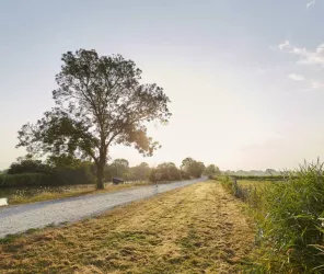 Alexandre Lamoureux / Saint-Nazaire Renversante