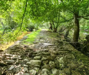 Communauté de Communes Châteaubriant-Derval