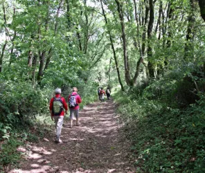 Yves POSTEC (CDRandonnée 49)