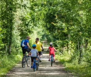 Baugé-en-anjou - Sébastien gaudard