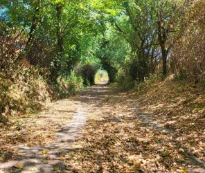 ©Commune de Sèvremoine