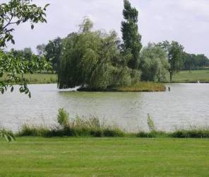 © Service d'Actions Touristiques de Chemillé