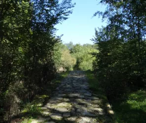 © Point d'informations touristiques de Chemillé-en-Anjou