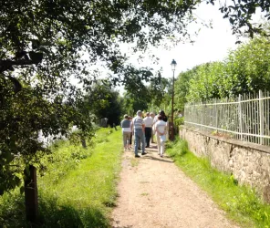 ©Office de Tourisme de l'Anjou bleu