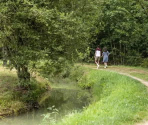 © Sebastien GAUDARD