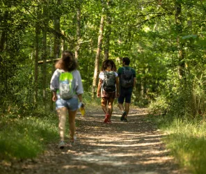 Mathieu GENON / Anjou Tourisme