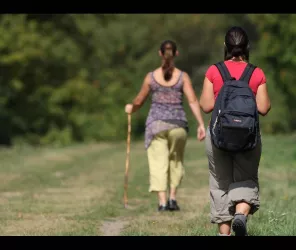 © JC Druais - Mayenne Tourisme