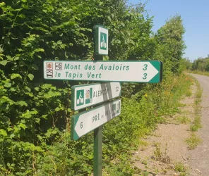 © CC Mont des Avaloirs