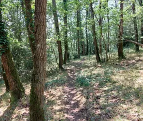 © Domaine du Gasseau