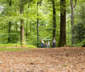 © Maxime Guillon - Sarthe Tourisme