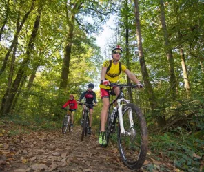 Mehdi Média / OTPFV