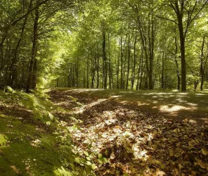 A. Lamoureux pour Vendée Expansion