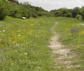 ©OT-islesmaraispoitevin