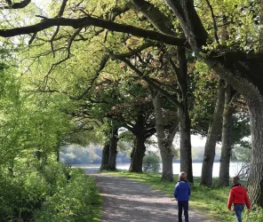 ©ClaireBodin_OTlesherbiers