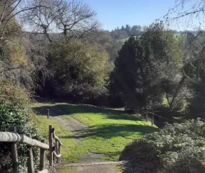 ©marjorie_blanchard_OTlesherbiers