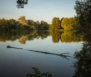 L'ours en plus pour CCSVL