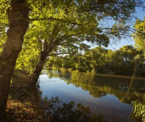 L'ours en plus pour CCSVL