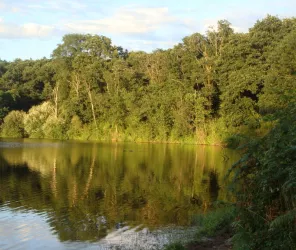 ©communautédecommuneschantonnay