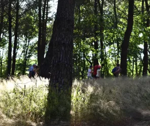 © Office de Tourisme