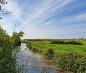 Office de Tourisme Fontenay-Vendée