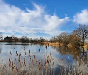 Office de Tourisme Fontenay-Vendée