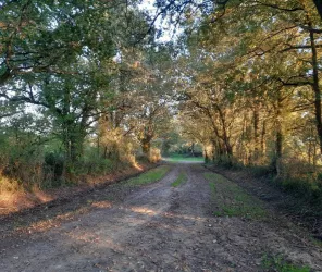 © Mairie de Thorigny