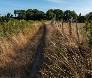 ©Thibaut Melin - Les Argonautes- OTPaysdesHerbiers