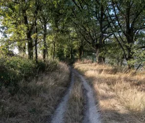 ©Thibaut Melin-OTPaysdesHerbiers