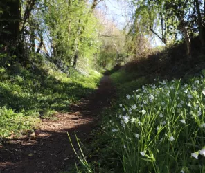 ©Ot-PaysdesHerbiers