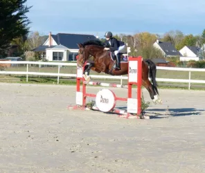 Espace équestre Angers