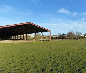 © Ecuries des Mauges