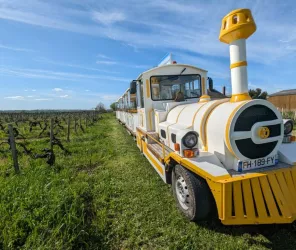 P'tit Train Vignes Loire