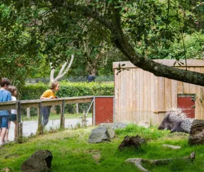 Office de Tourisme Vallée de la Sarthe /Stevan