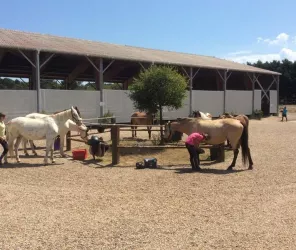 Domaine Équestre de Quérélo