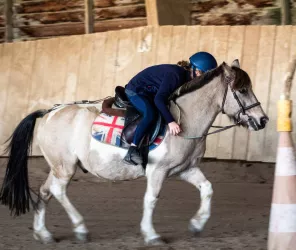 ©Ecuries de la Provostière