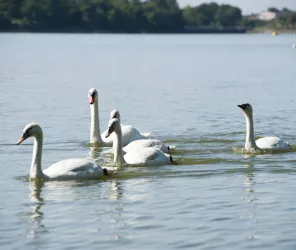 ©Nathalie-Gautier-OT-Pays-Ancenis