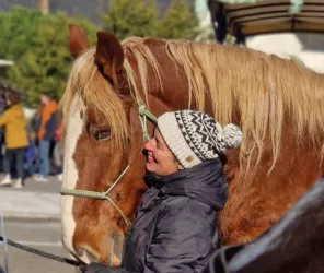 Les attelages de l'erdre