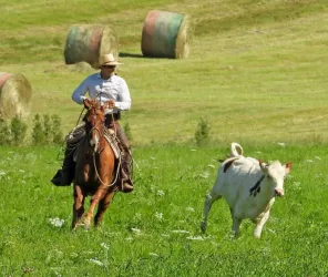Centre équestre equilandes