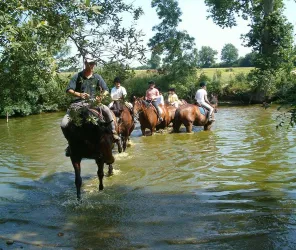 ©Centre équestre La Gosnière - Le Lion d'Angers